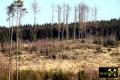 Diabasbombentuffklippen NW des Autobahndreieck Hochfranken (A72-A93) bei Hof, Bayern, (D) (33) 09. Februar 2011.JPG